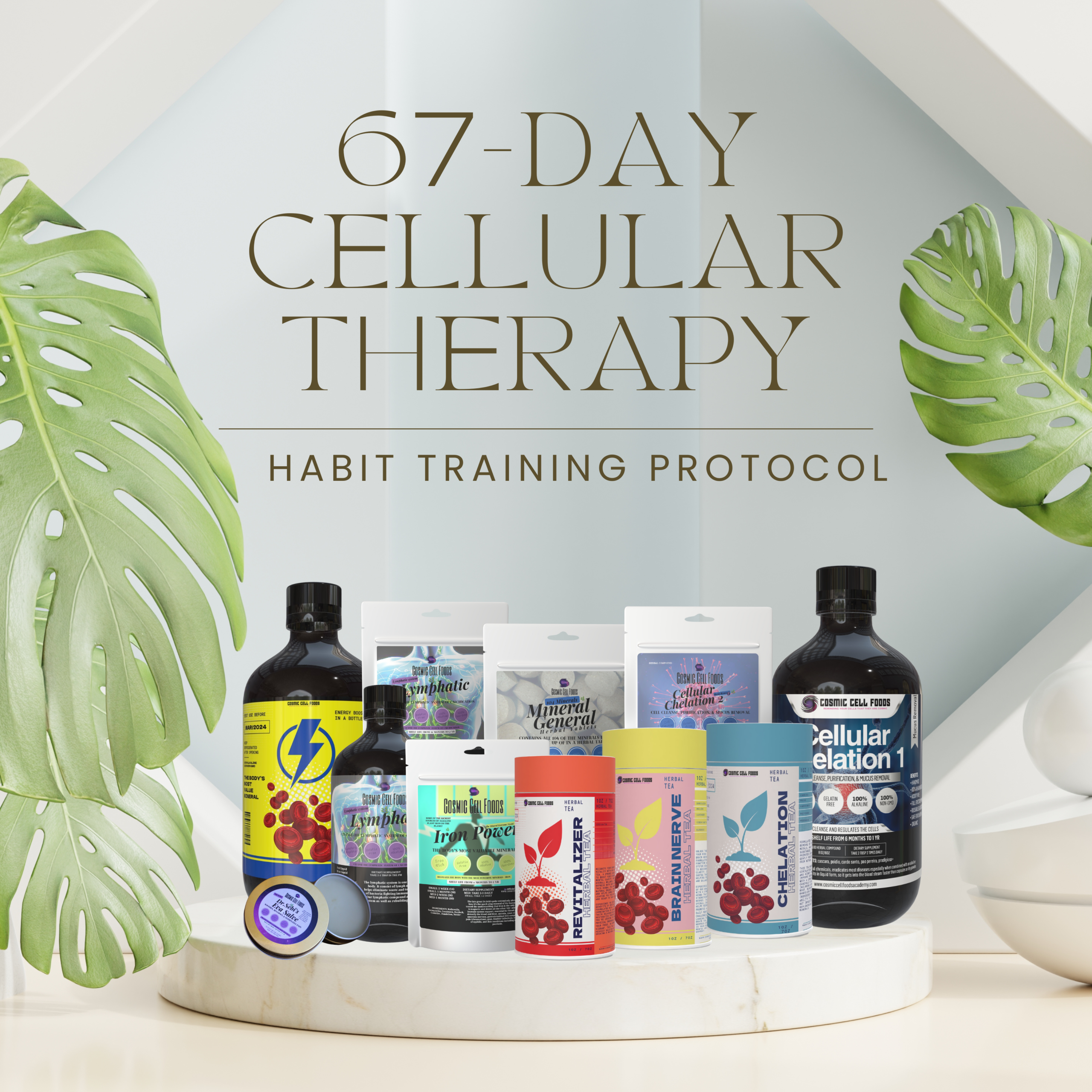 67-Day Cellular Therapy - Habit Training Protocol